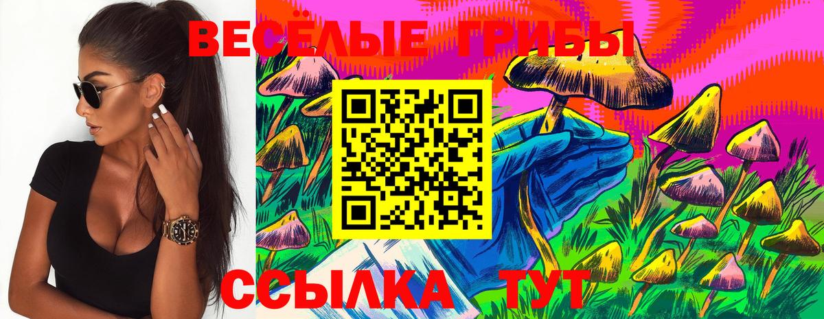 Галлюциногенные грибы Psilocybine cubensis  Вход с VPN  Псилоцибиновые грибы Cubensis  Михайловка 